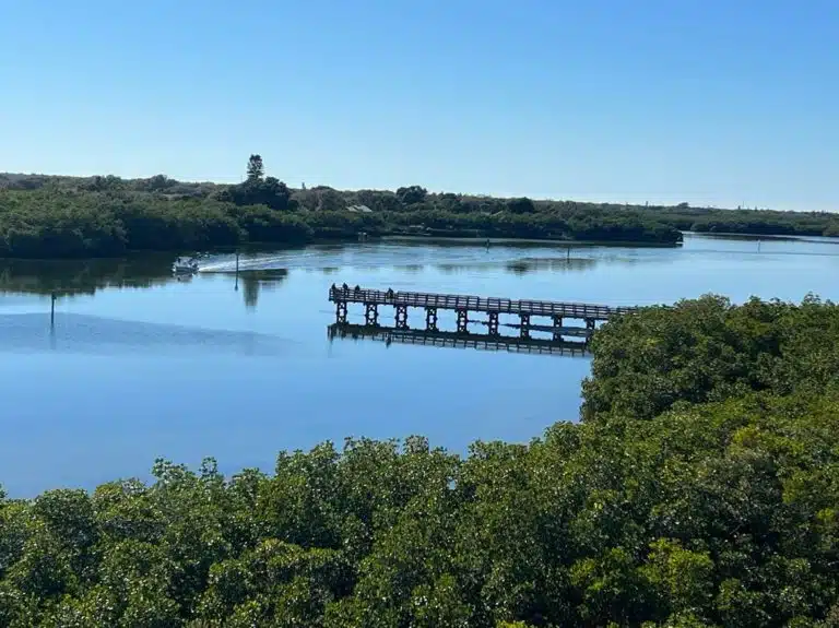 Weedon Island Preserve